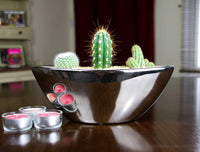 Modern cactuse     ثلاثية الصبار الرائعة الخاصة بنا