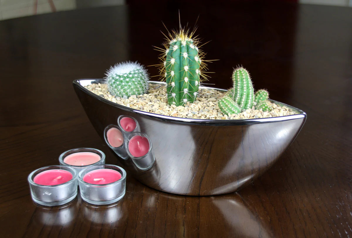 Modern cactuse     ثلاثية الصبار الرائعة الخاصة بنا